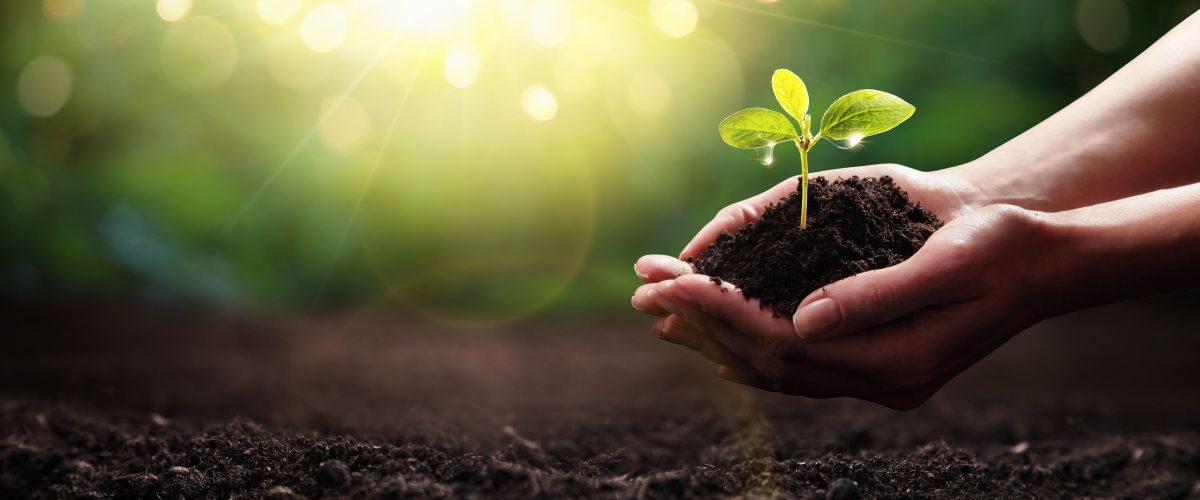 Rotherham sustainability