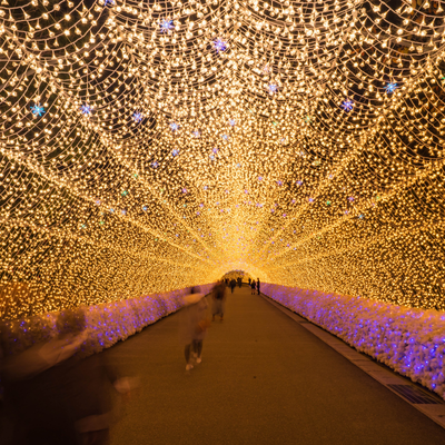 Gullivers Kingdom Light Trail